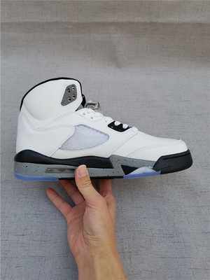 Jordan Men Shoes 5 AAA--29